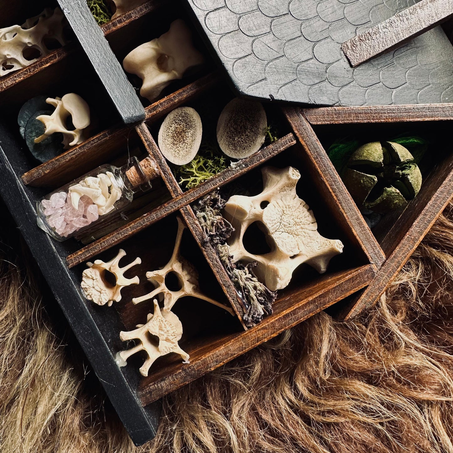 Handmade Curio Shelf