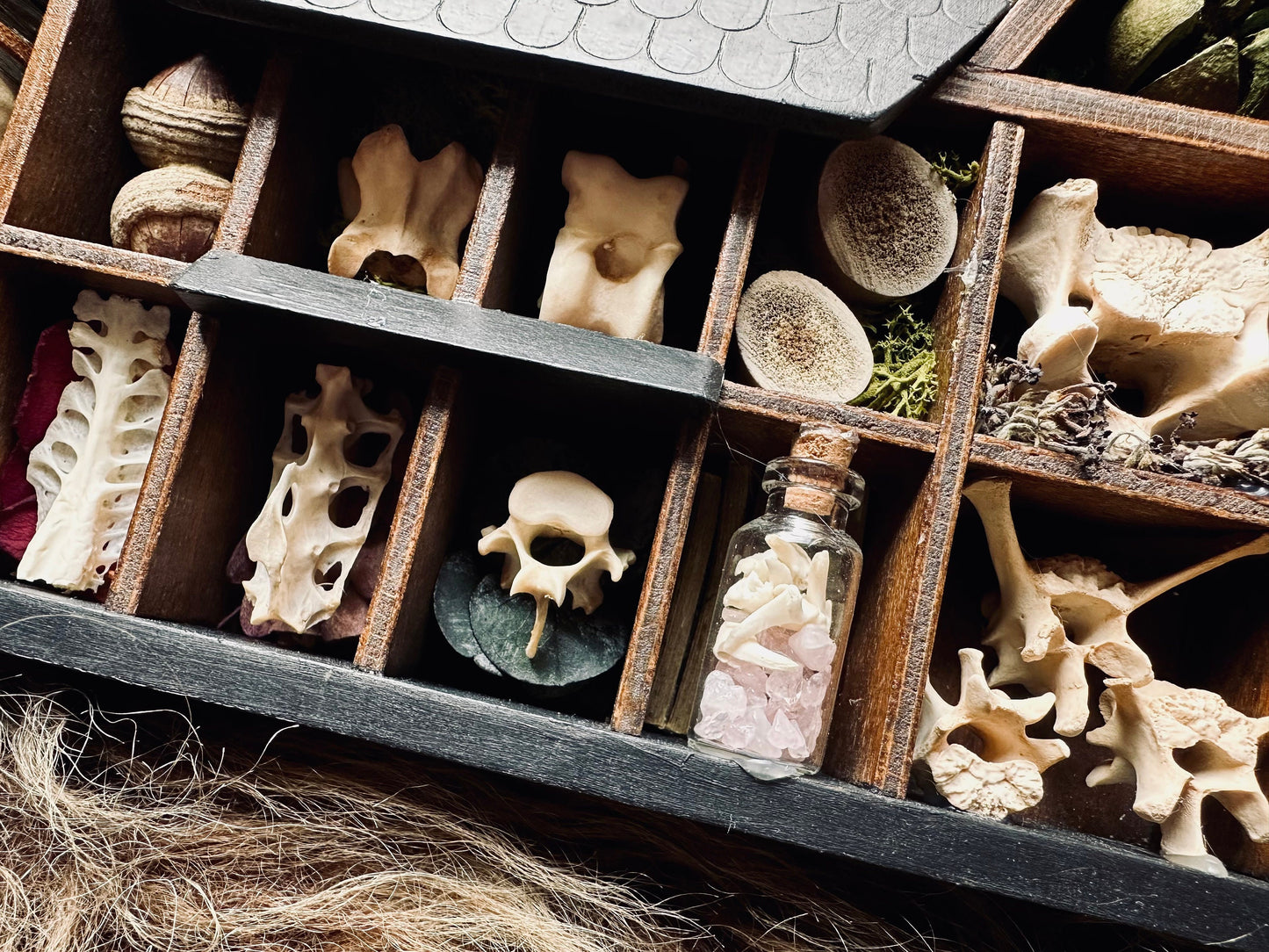 Handmade Curio Shelf