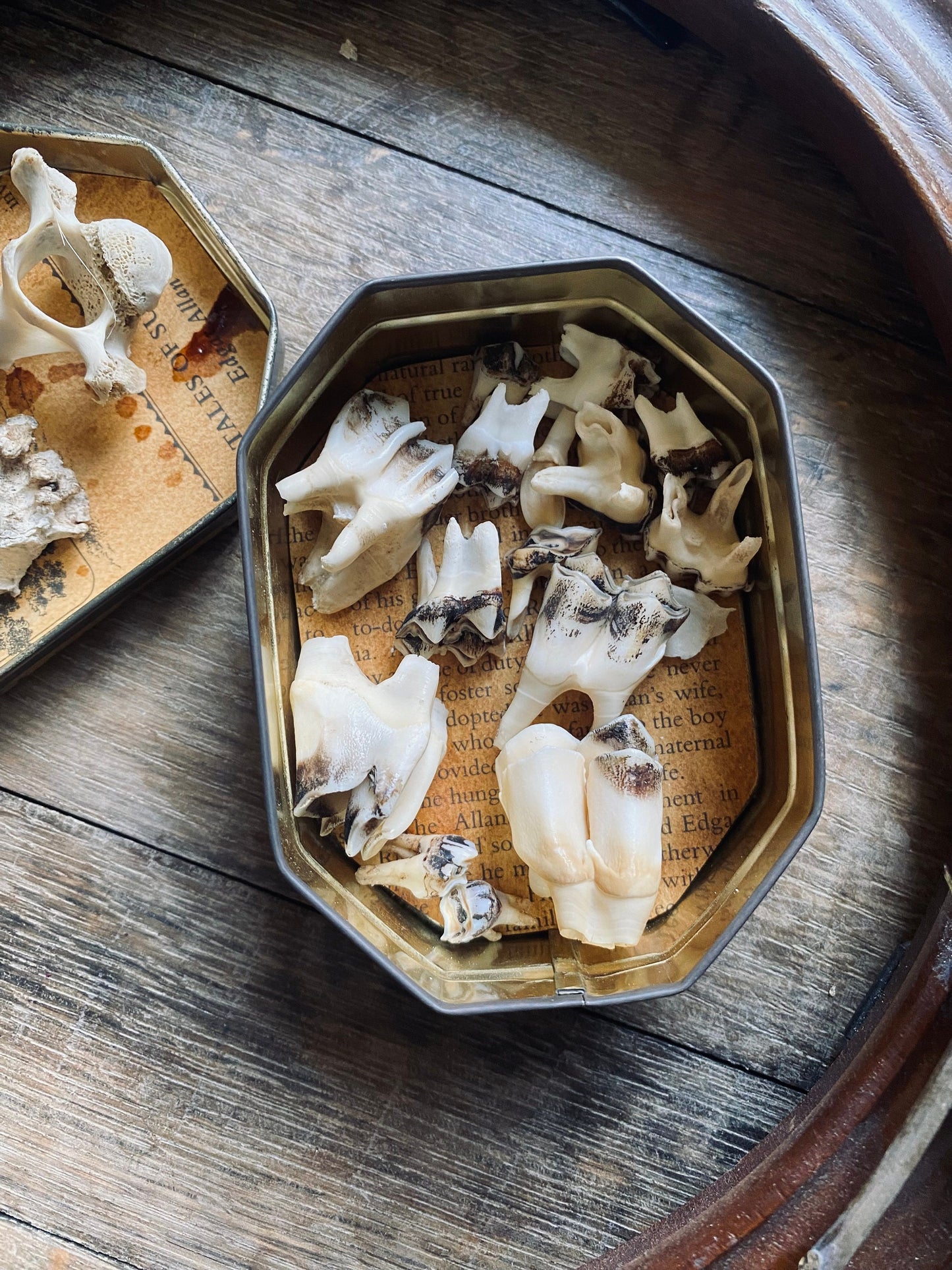 Vintage Bone Curio Tin