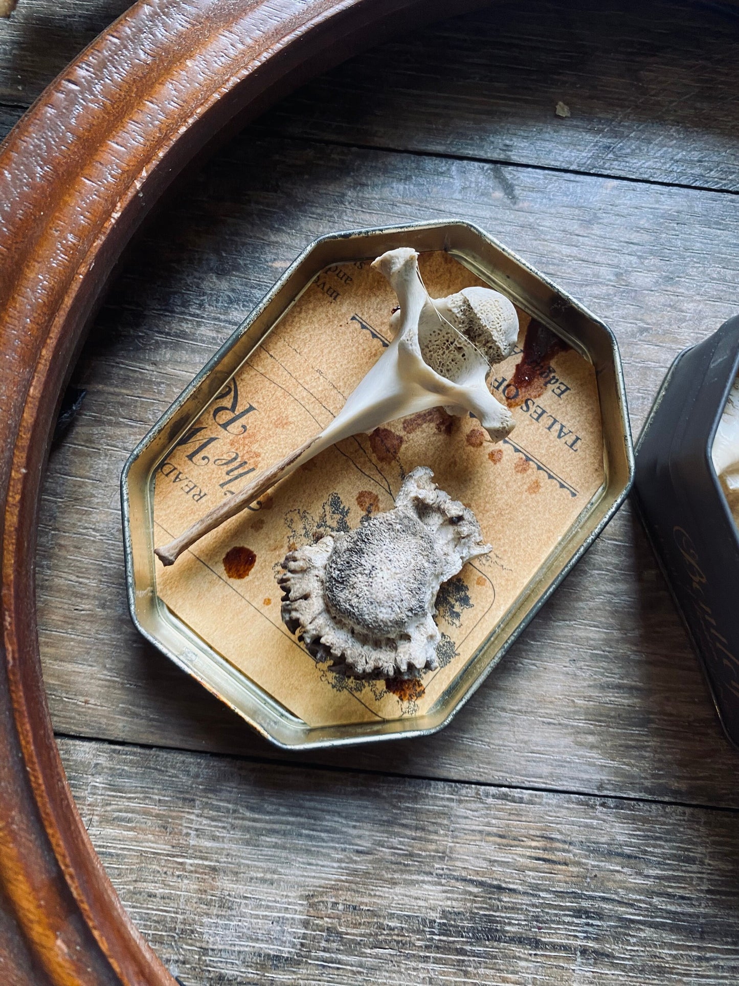 Vintage Bone Curio Tin