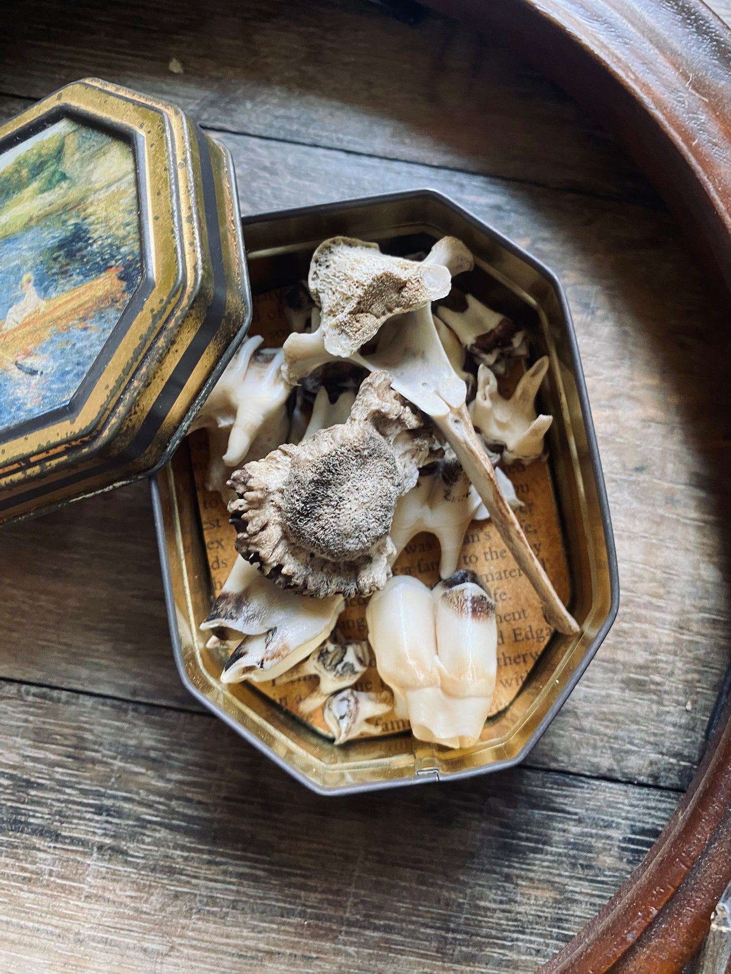 Vintage Bone Curio Tin