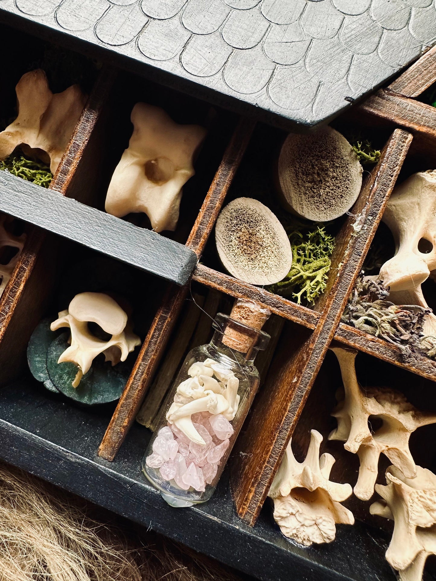 Handmade Curio Shelf