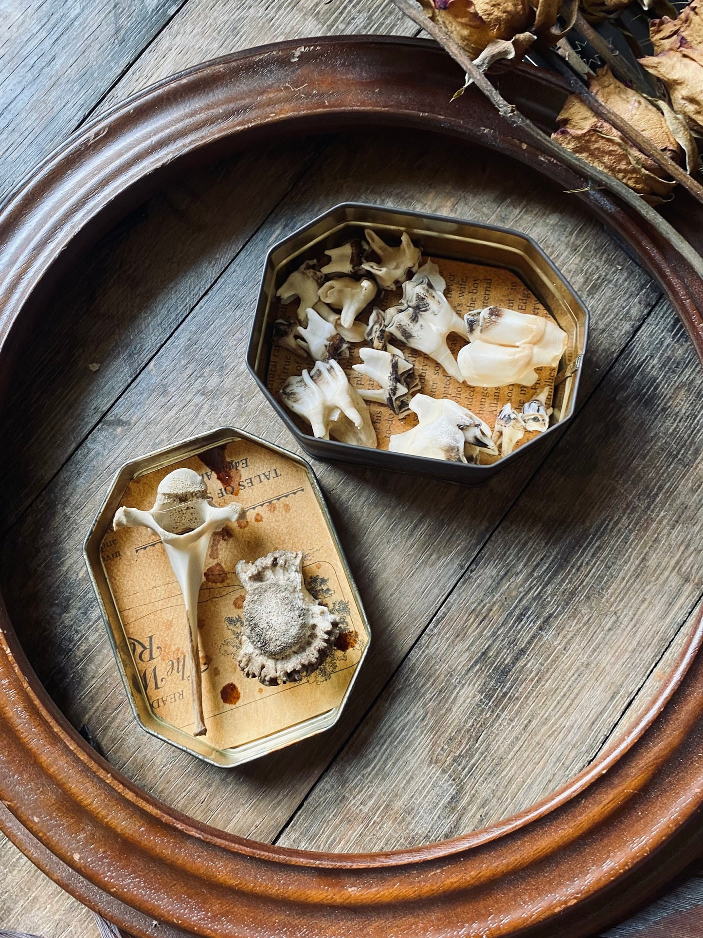 Vintage Bone Curio Tin