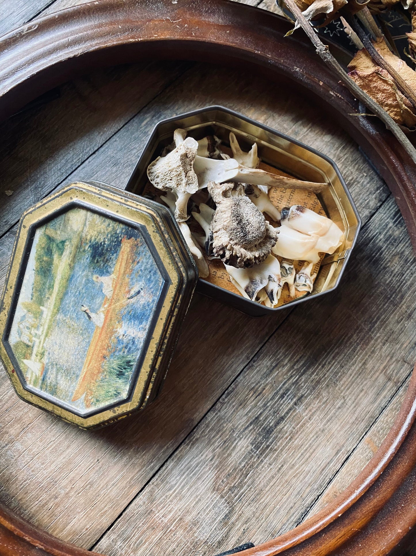 Vintage Bone Curio Tin